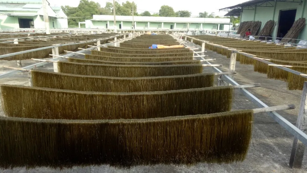 Moringa Rice Noodles, Nutrients and Tasty, Vietnam Origin Good Price whatsapp +841296064364