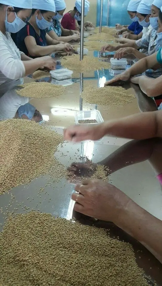 Top Quality 2023 - BEE POLLEN with COMPETITIVE PRICE from Vietnam