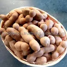 Tamarind - (Without Sell)