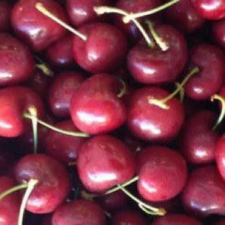 
White Flesh Nectarines For Sale 