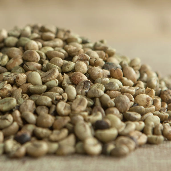 Зеленые кофейные зерна Robusta по заводской цене от Phalco vietnam 0084339966582