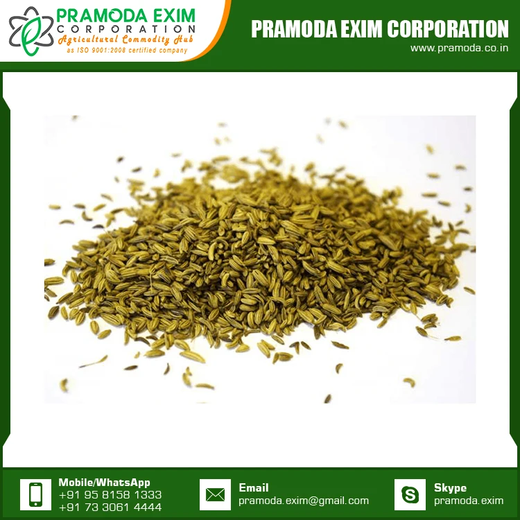 New Season Organic Fennel Seed Natural Fennel Single Spices & Herbs From India