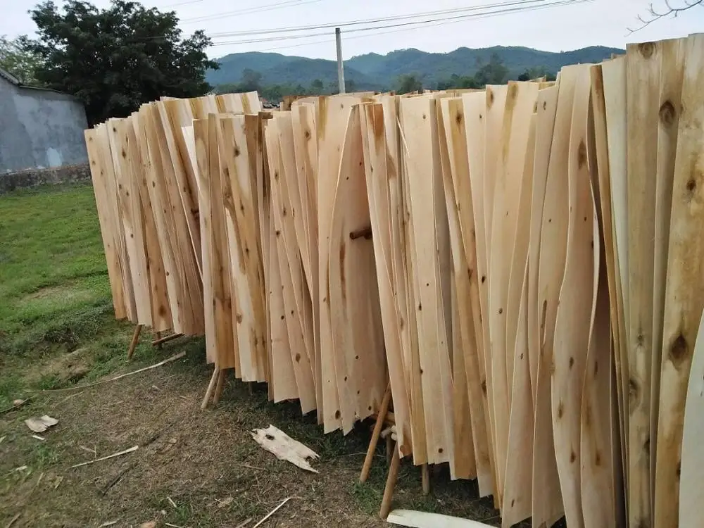 CHEAP CORE VENEERS PRODUCED FROM EUCALYPTUS WOOD SOLD OUT IN SUMMER