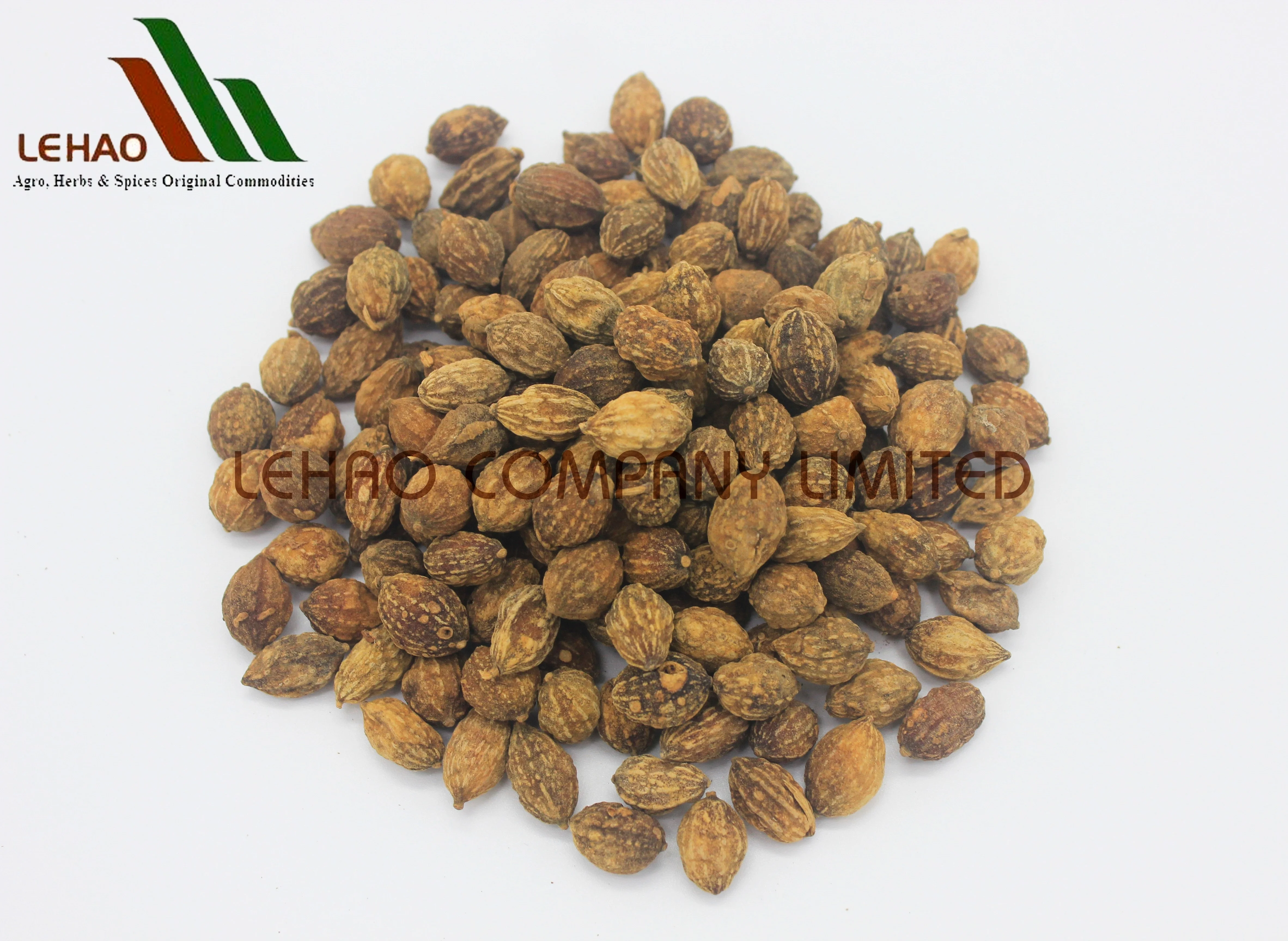 
BITTER CARDAMOM IS PROVIDED BY LEHAO CO., LTD (MR. TUYEN - WHATSAPP/VIBER/KAKAOTALK/WECHAT 0084916275888) 