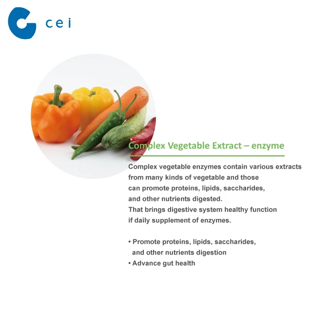 High Quality Digestive Protection Mix Berry Enzymes Probiotics Powder