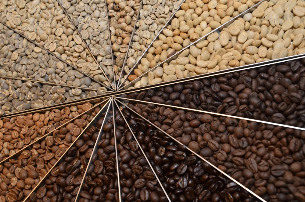 
Green coffee beans high quality factory 