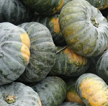 
Frozen Pumpkin/High quality/+84-845-639-639 (Whatsapp) 