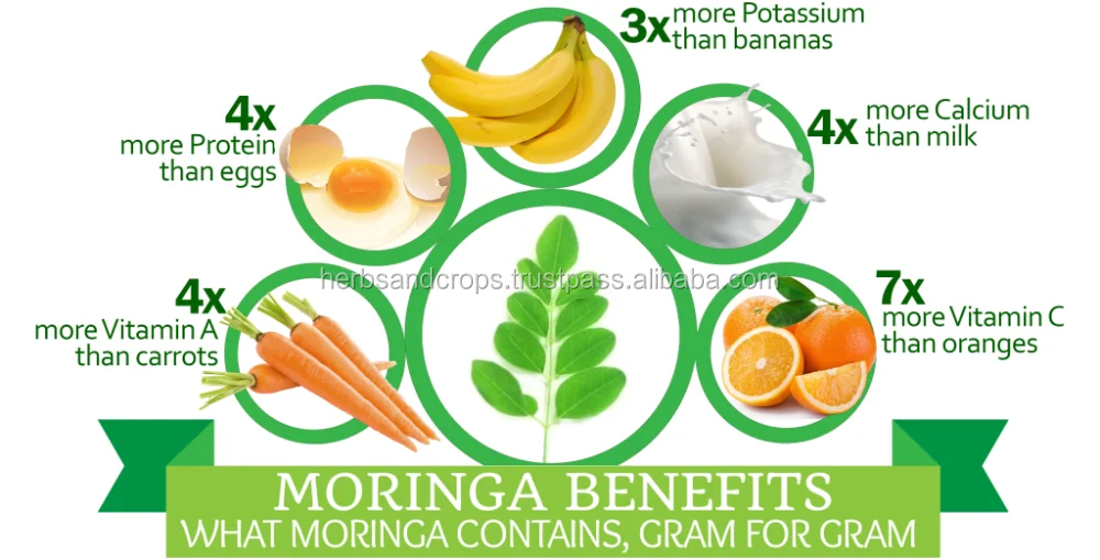 Organic Moringa Powder (with USDA and India Organic Standards)