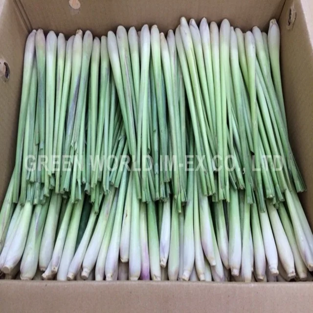 LEMON GRASS BEST QUALITY , GOOD PRICE !