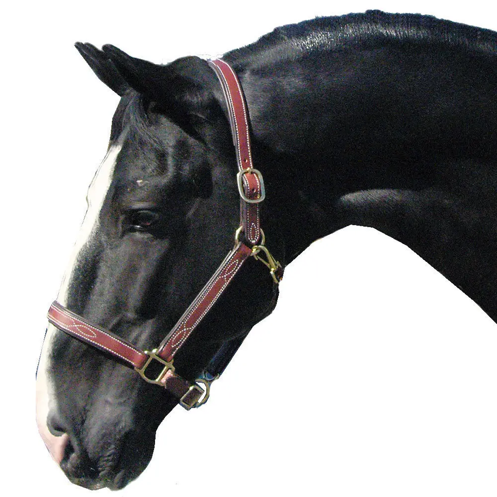 Специальная лямка для лошадей