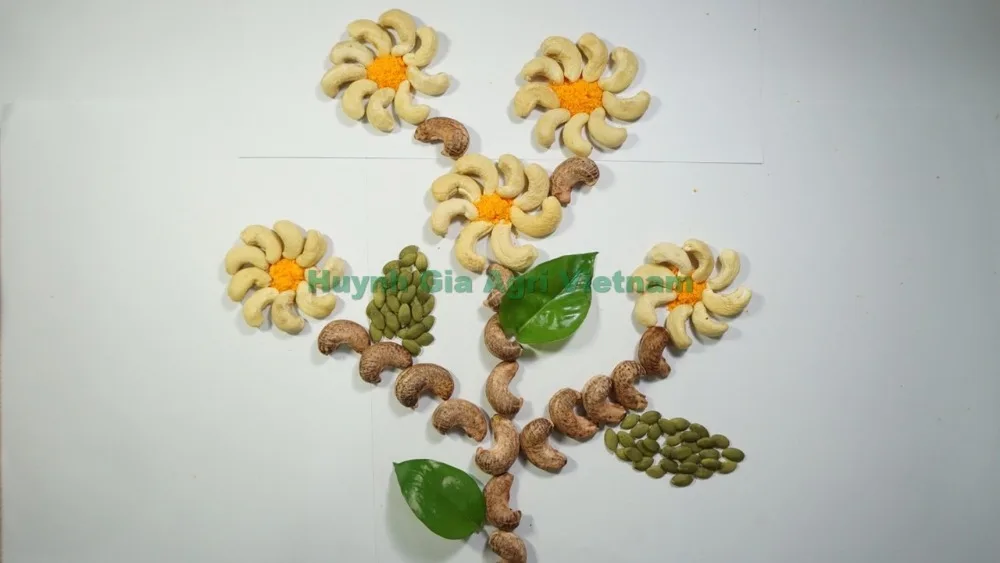 
CASHEW NUTS KERNEL WW320/CASHEW NUTS PRICE 