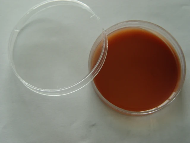 agar,culture media,petri dish