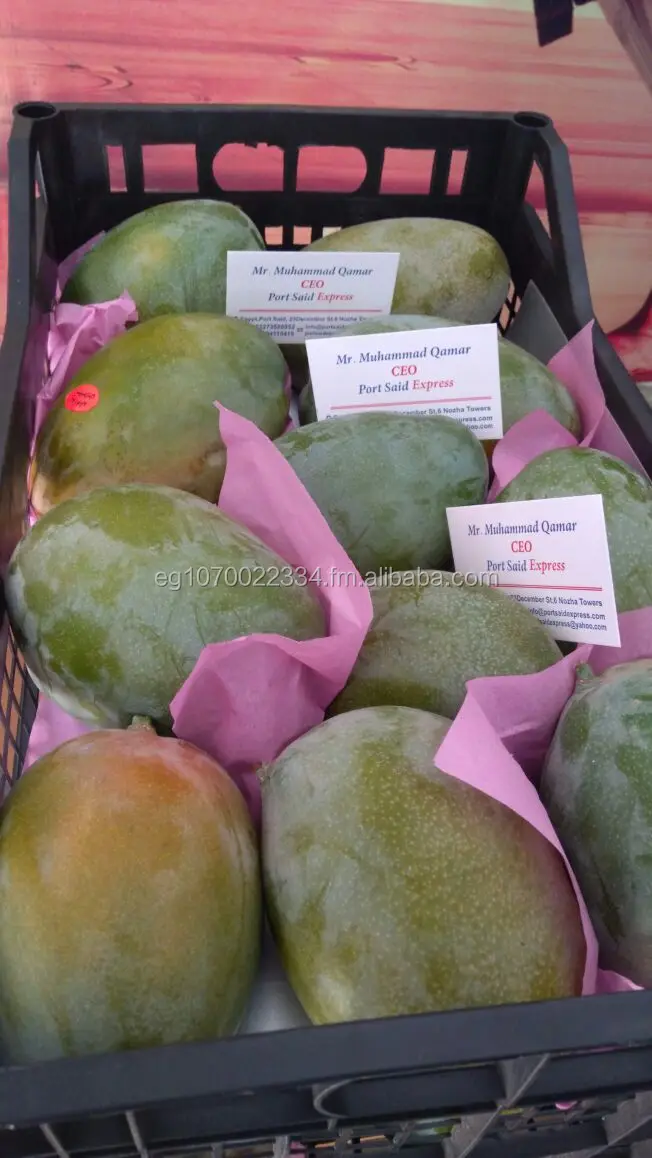 fresh mango fruit ready to export to Malta