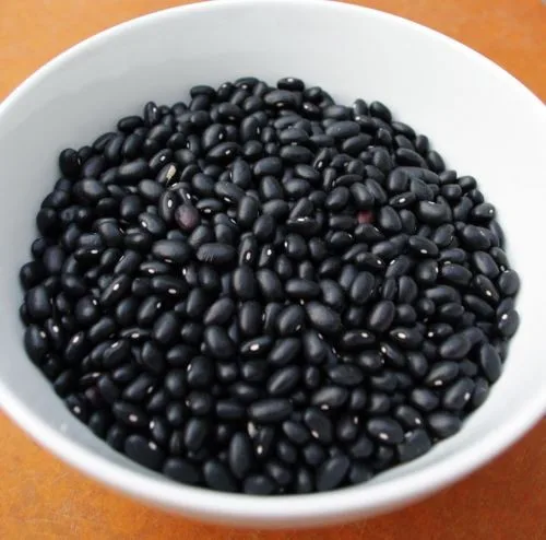 HOT SELLING NEW BLACK BEANS ( FRESH GREEN INSIDE ) FROM VIETNAM