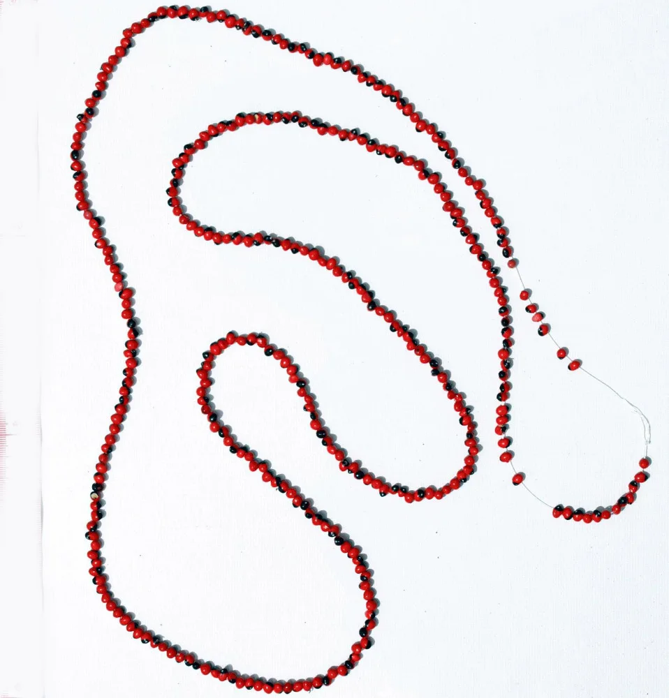 Huayruro Beads Wholesale Small Red Natural Peruvian Amazon Tree Plant Seeds for Jewelry Making