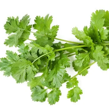  Сушеный тайский Кориандр (петрушка) 100% натуральный продукт из