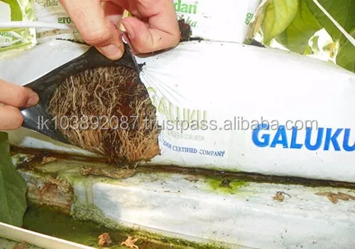 
Galuku Hydroponic Hydro CS Grow Bags 