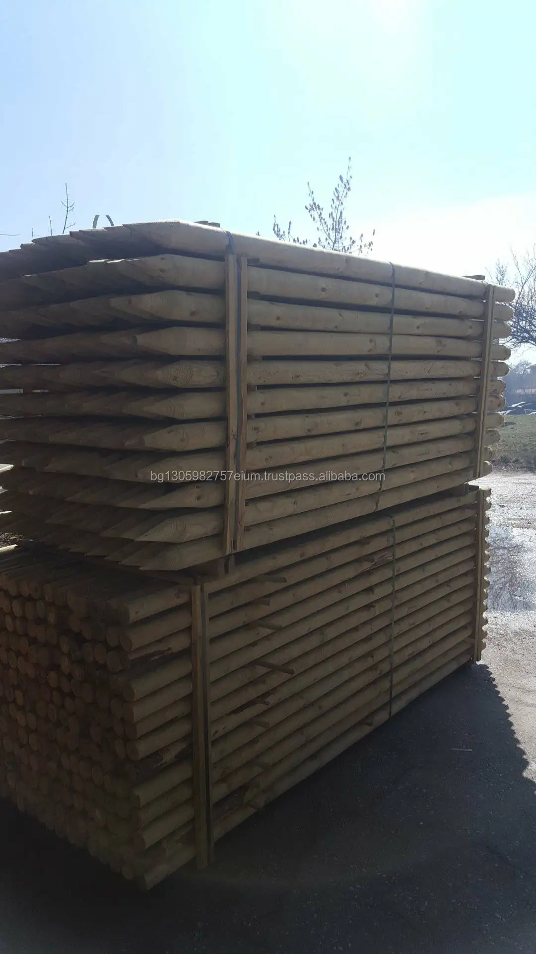 Sharp Point Wood Light Poles coniferous, lathed and impregnated by high pressure vacuum