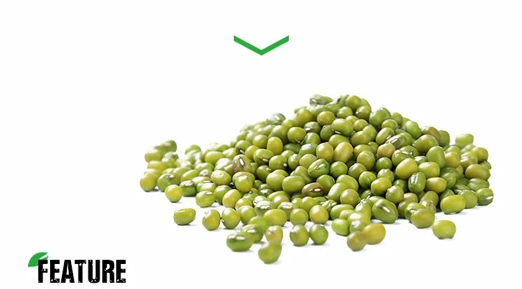 DRIED STYLE GREEN GRAM/GREEN MUNG BEANS