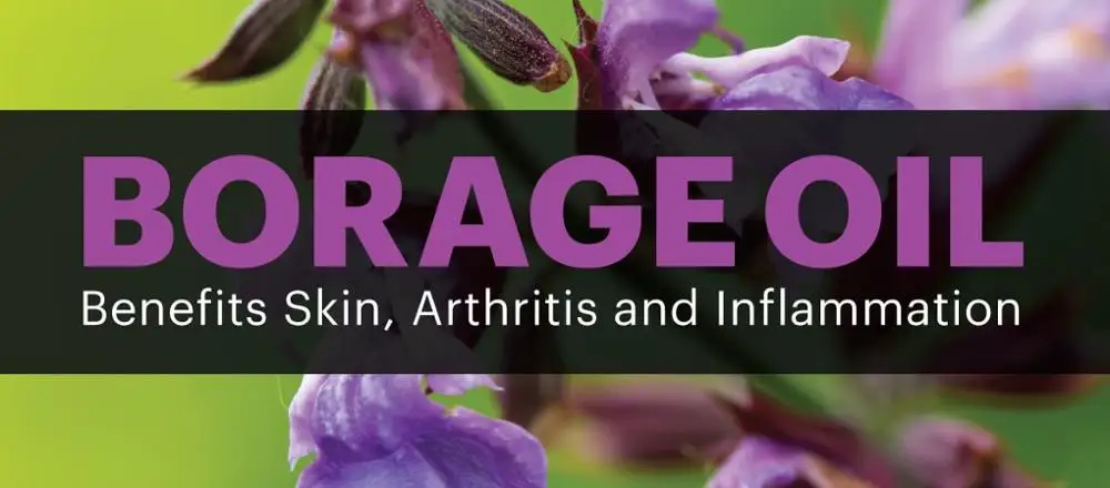 Borage Carrier Oil Bulk Export From China at Best Price 100% Pure And Natural Organic Carrier and Base Oil Supply