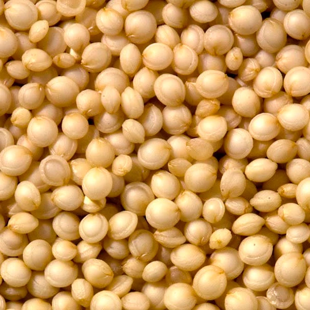 Европейские органические продукты Quinoa лучшего сорта для (50039126193)