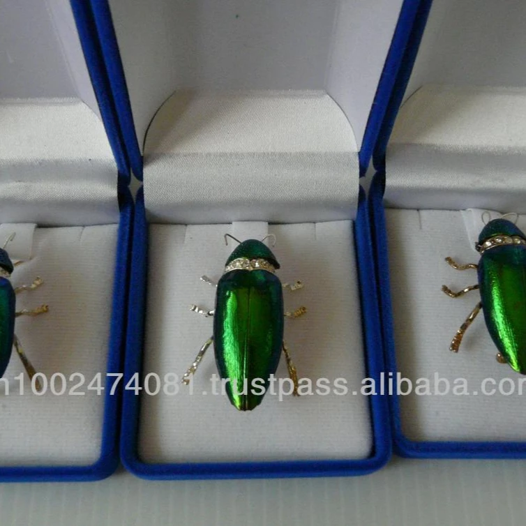 
beetle wings 2019 Hot sale beetle brooches 