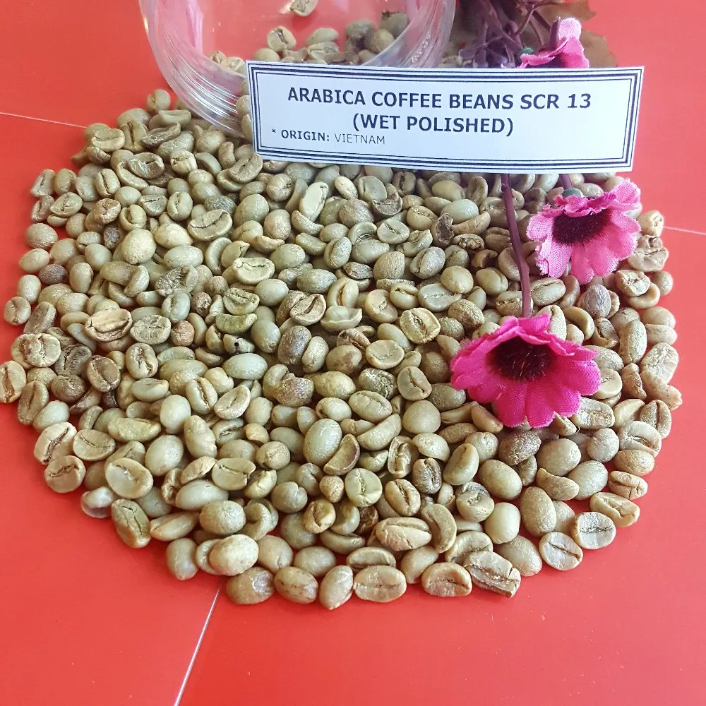  Вьетнамские высококачественные зеленые кофейные зерна ARABICA по хорошей цене SCR13/ SCR16/ SCR18 +