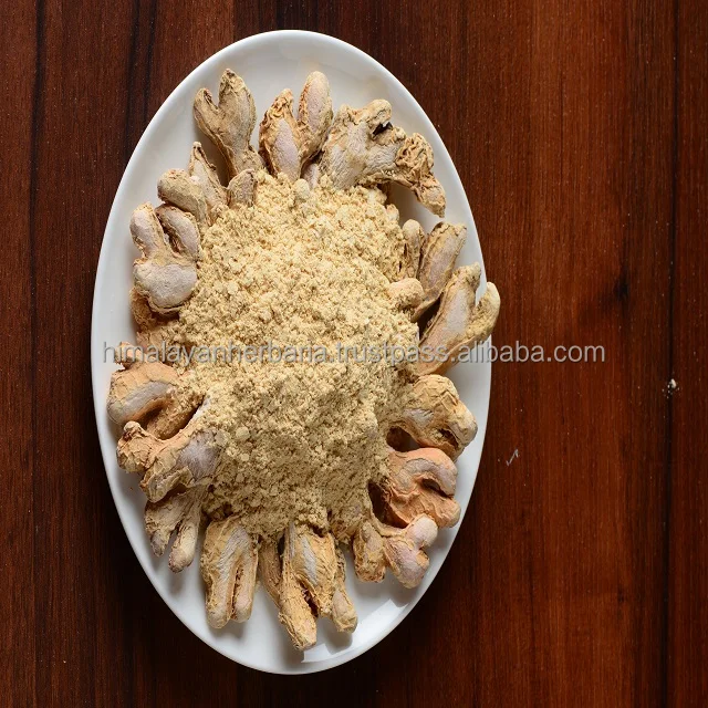 Заводская поставка Экстракт корня имбиря порошок 100%