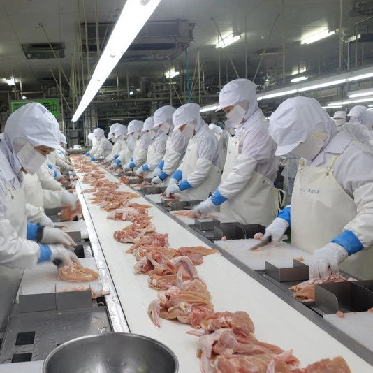 
whole chicken Chicken, Feet, Paws Chicken Joint Mid Wings for sale 