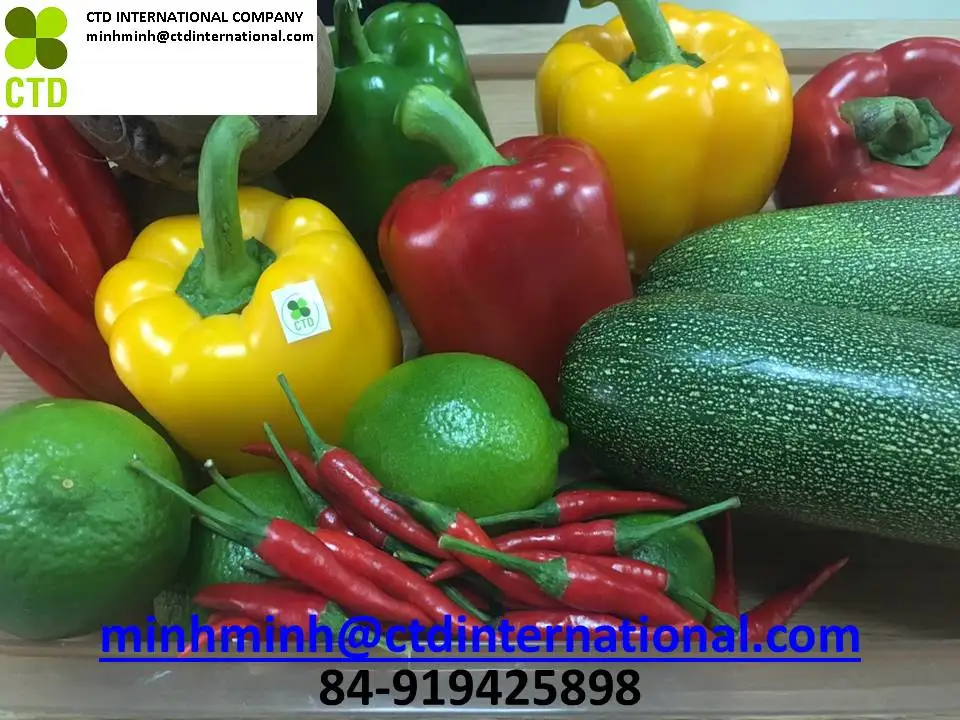 
Vietnam fresh green capsicum 