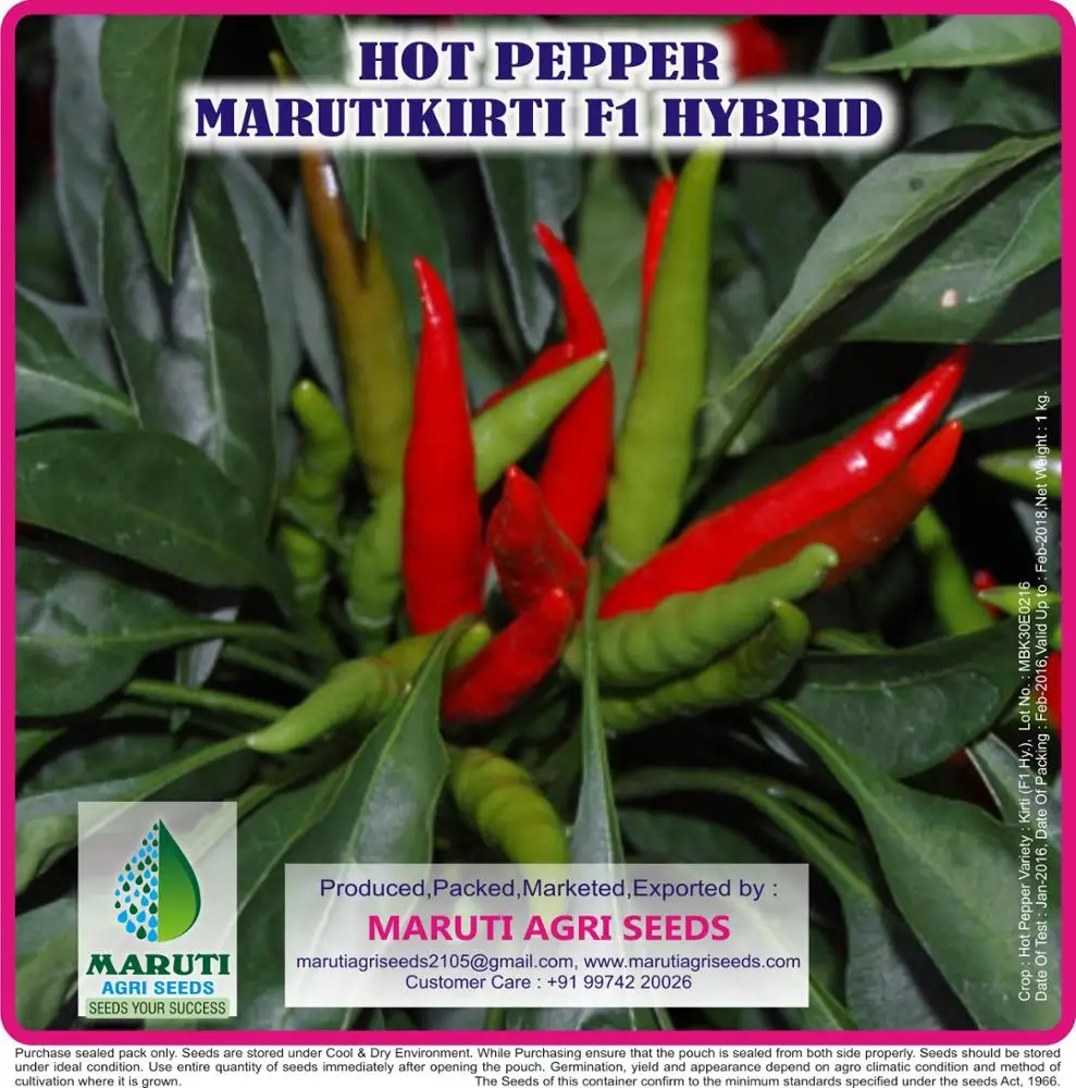 
MARUTI - KIRTI CHILLI SEEDS (UPRIGHT) 