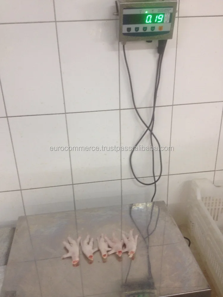 Frozen chicken paws B grade from Ukraine
