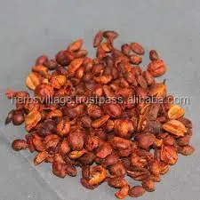 Celastrus Paniculatus Seeds/ Malkangni/jyotismati For Sale at Wholesale Suppliers India