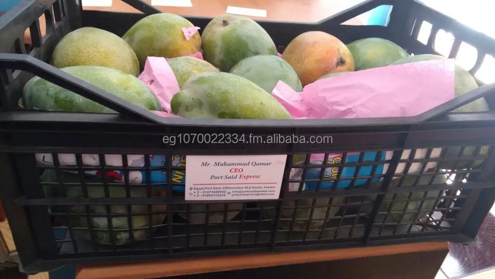fresh mango fruit ready to export to Malta