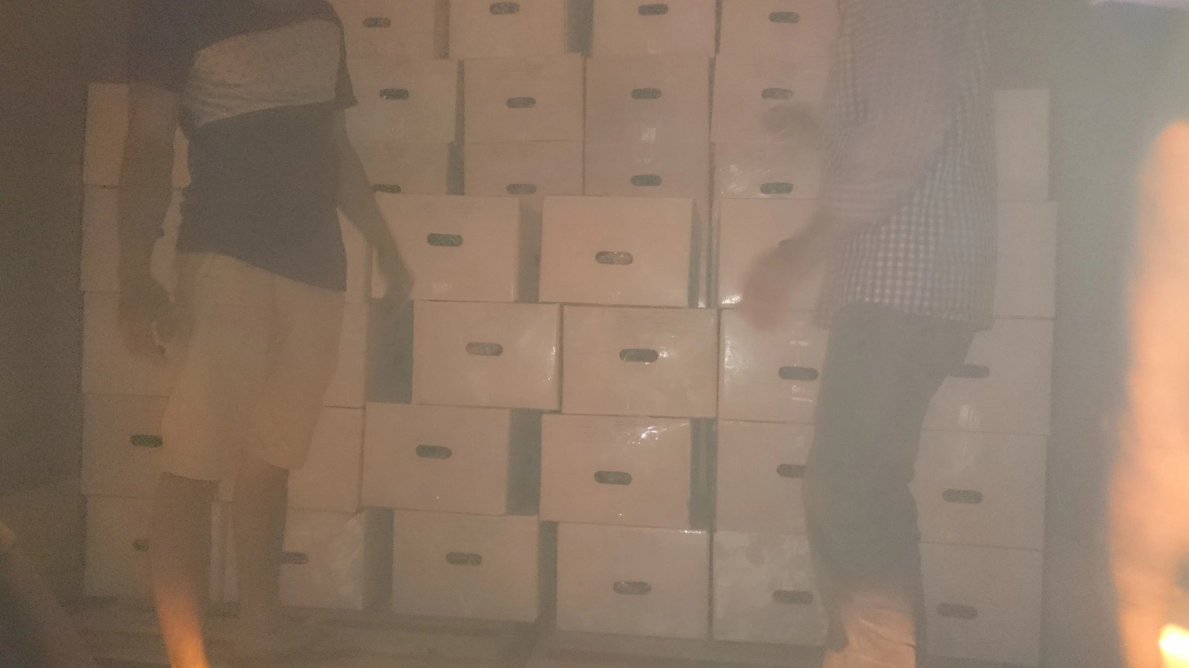 
HIGH QUALITY FRESH CELERY CABBAGE ( NAPA CABBAGE) WITH BEST PRICE 