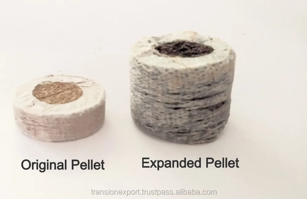 IMG_20190627_095507_edited_edited