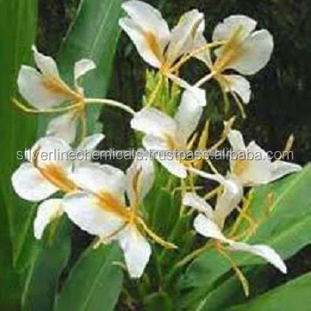 HEDYCHIUM FLORAL WATER