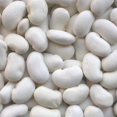 
White Beans / White Kidney Beans 