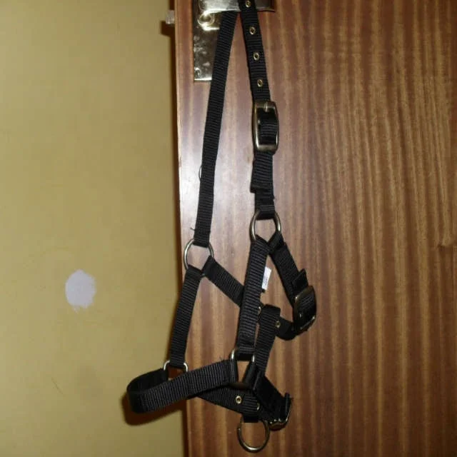 Wholesale High Quality Horse nylon halter 2018  Hot selling Unique Horse nylon halter for horses Pp Tape Nylon Halter