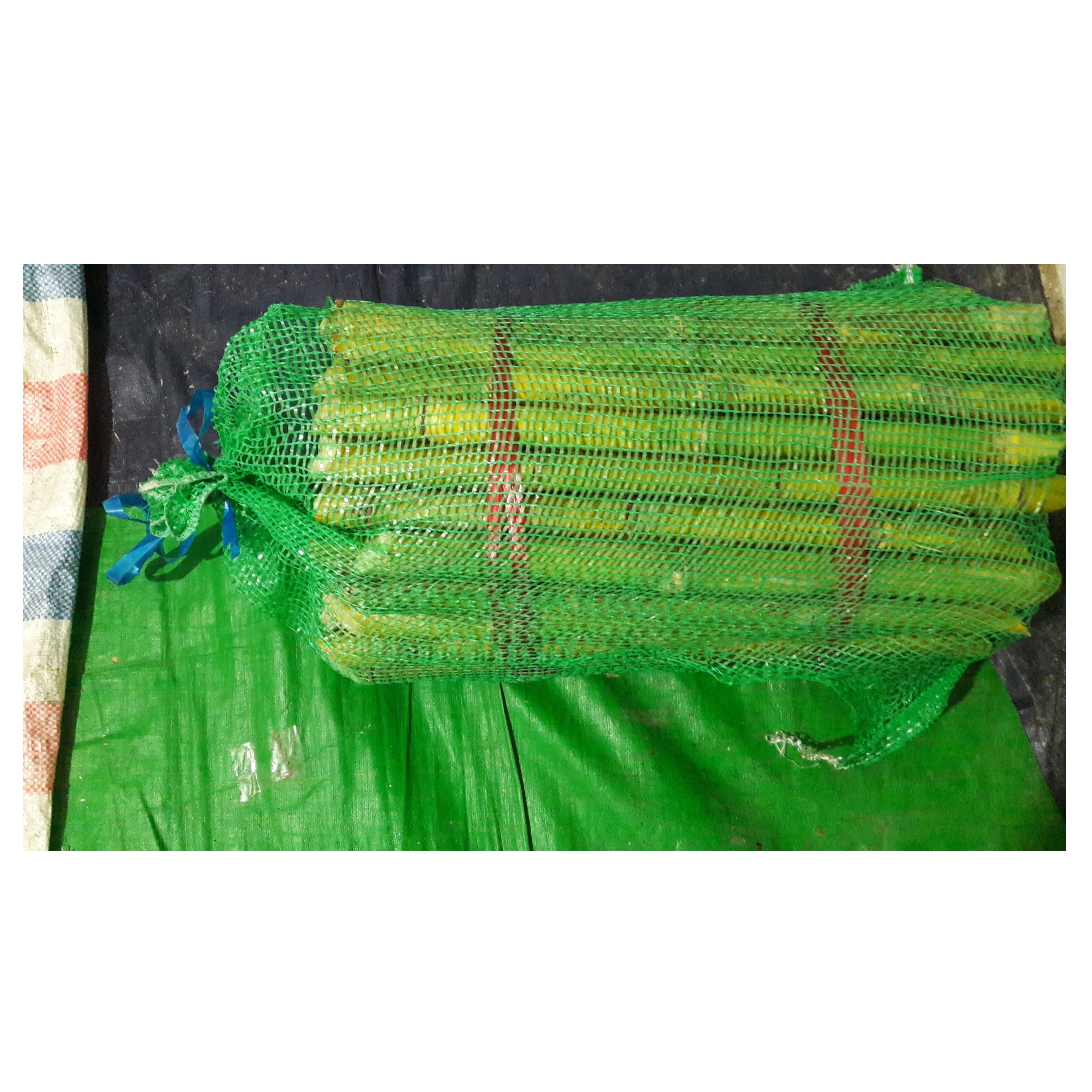 Органический сахарный тростник замороженный во Вьетнаме whatsapp + 84 845 639 639