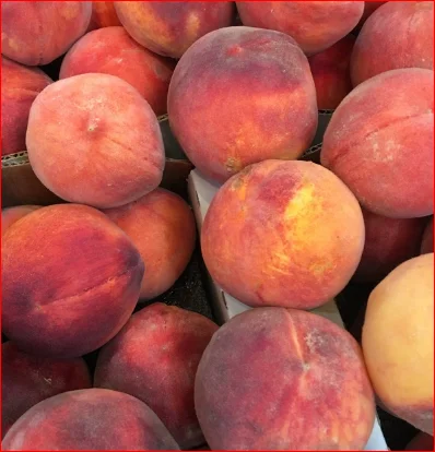 
Quality Fresh Peaches for sale  (62001942375)