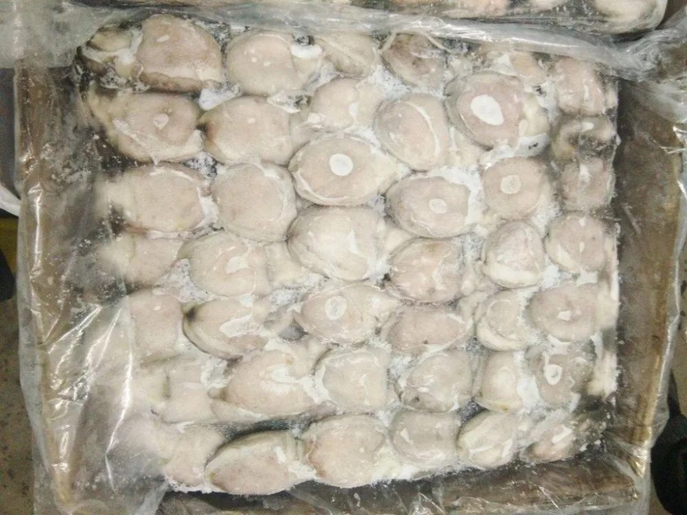 
BABY CUTTLEFISH WHOLE SIZE - 20/50,50/100,100/150 - READY STOCK 