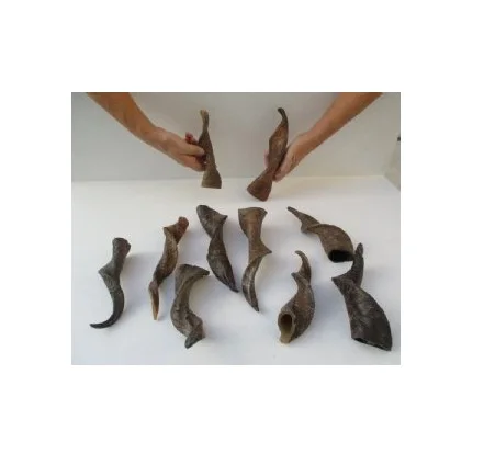 Новый дизайн, декоративный черный козий гудок