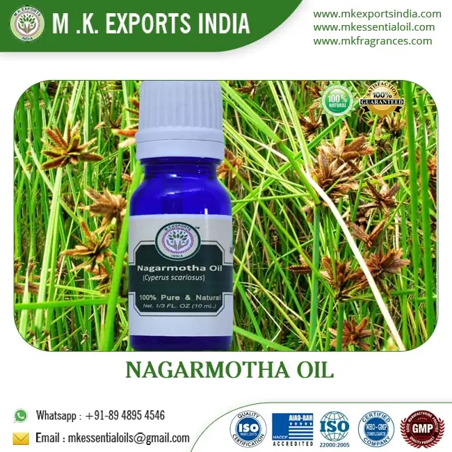 Top Quality Cypriol Oil 30%/Nagarmotha