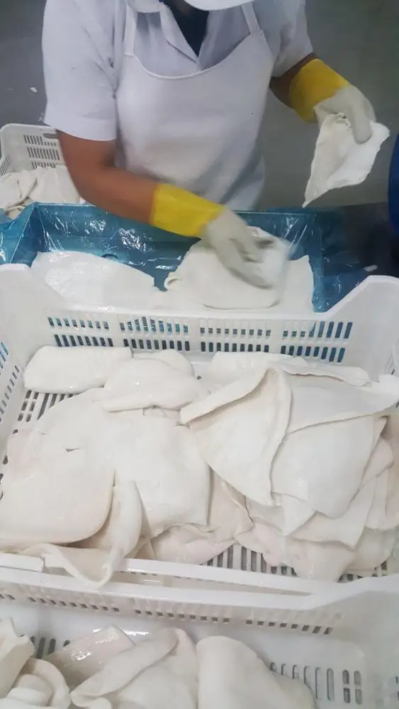 Гигантский кальмар кипяченые филе/Дарума (из Перу)