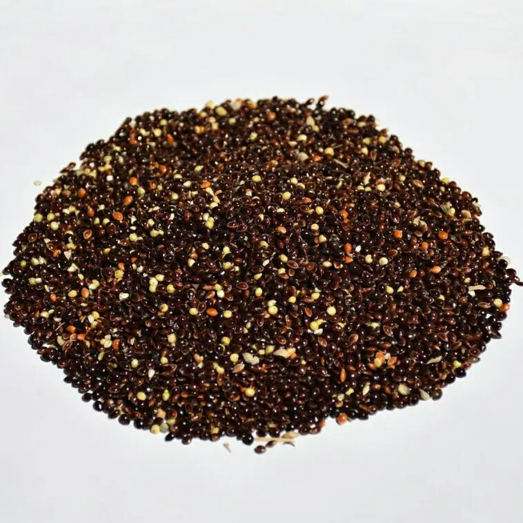 
Wholesale Bird Feed Seeds Of Ukrainian origin Black Millet for Birds Food 