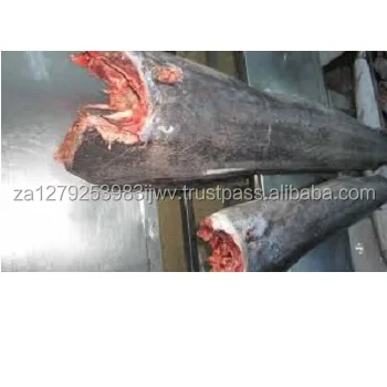 
seafood of sailfish, frozen sailfish,High Quality Frozen Indo-Pacific Sailfish 