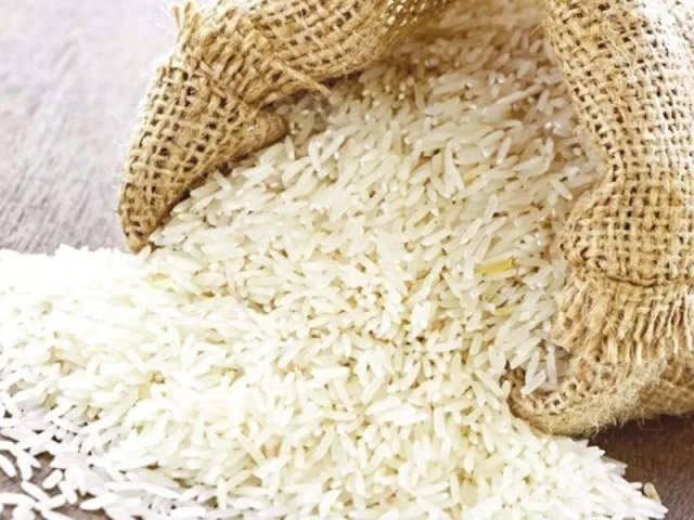 1121 White cremy Sella Rice