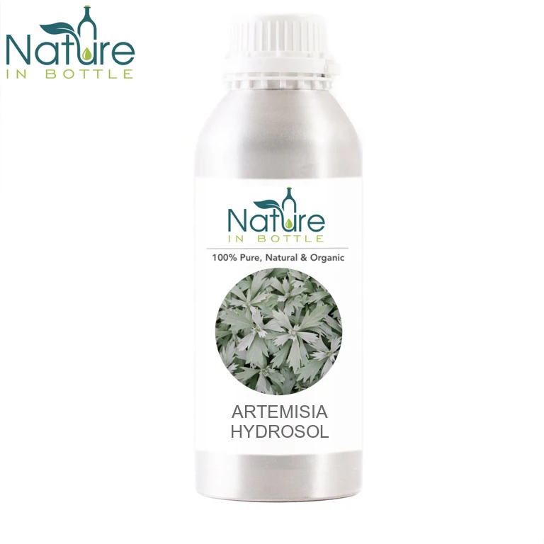 Organic Artemisia Hydrosol | Artemisia ludoviciana Distillate Water - 100% Pure and Natural