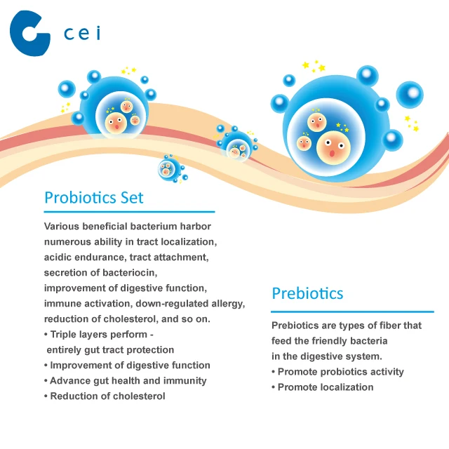 High Quality Digestive Protection Mix Berry Enzymes Probiotics Powder